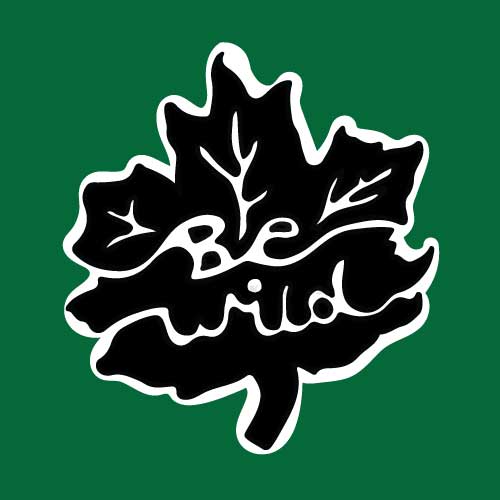 Be Wild | Autumn leaf fall season themed sticker