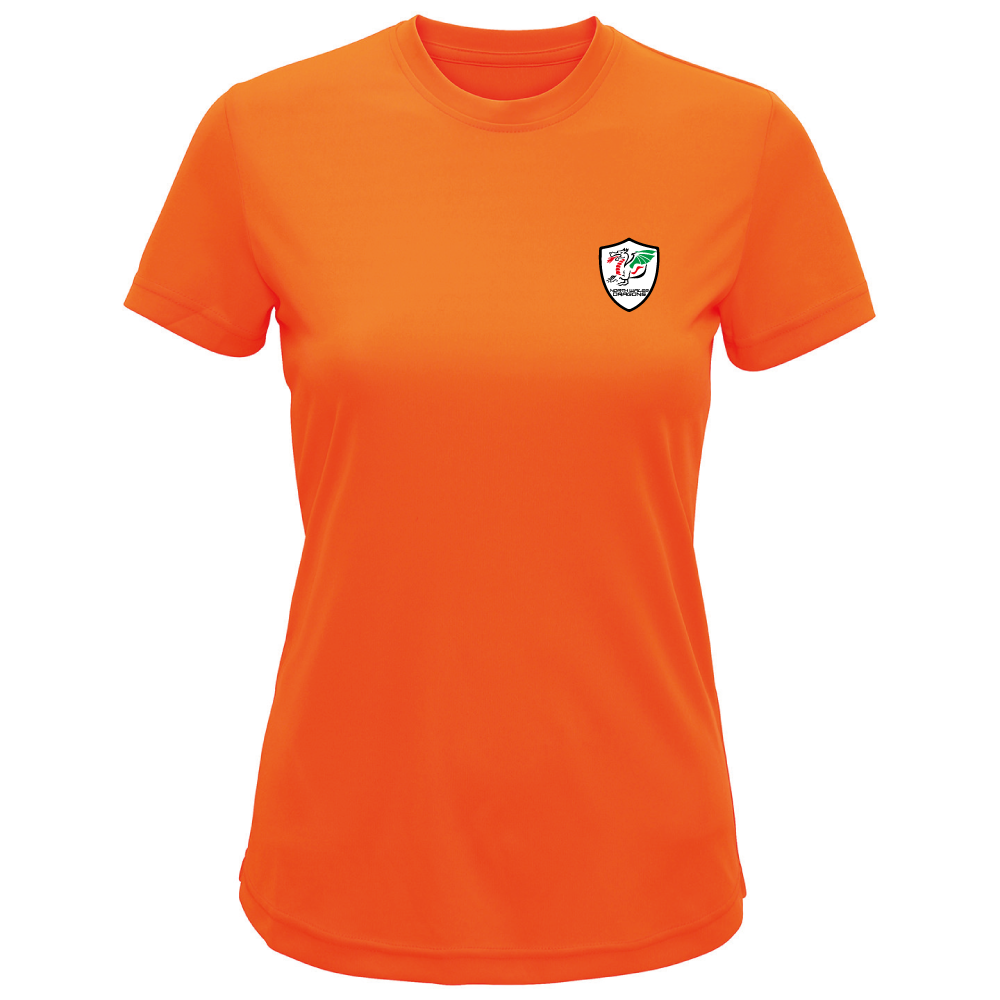 North Wales Dragons colour badge Women's t-shirt