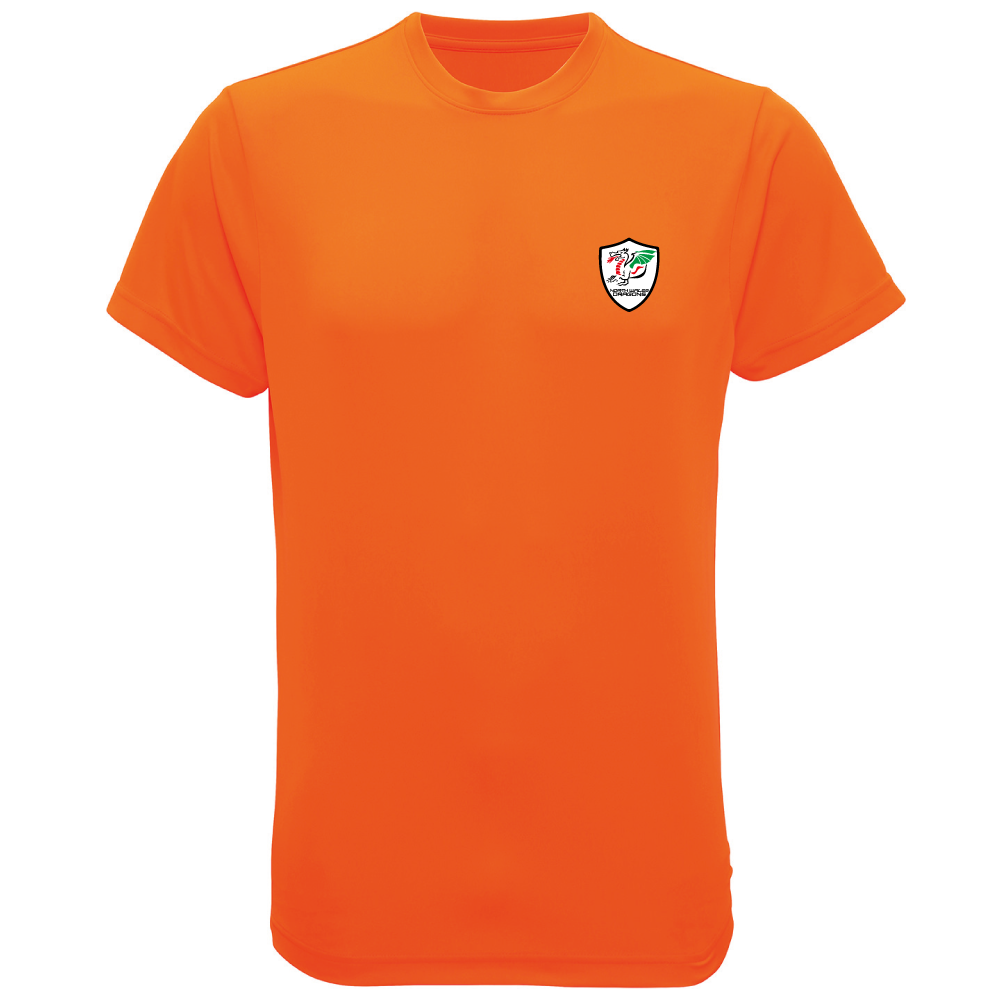 North Wales Dragons colour badge Unisex t-shirt