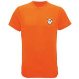 North Wales Dragons colour badge Unisex t-shirt