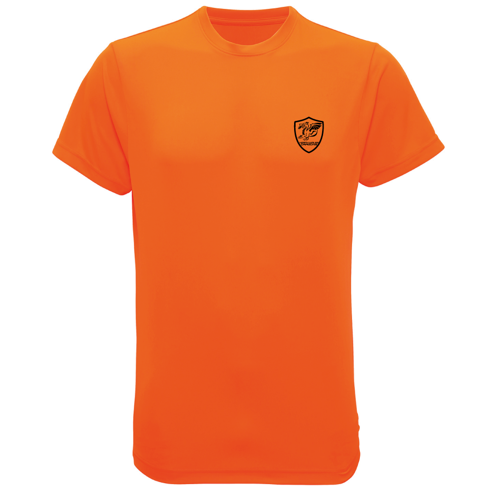 North Wales Dragons colour badge Unisex t-shirt