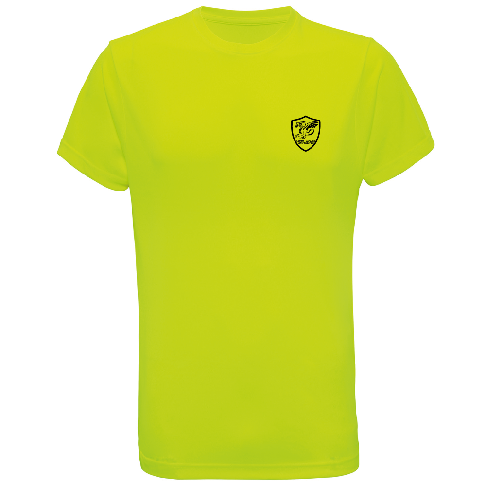 North Wales Dragons colour badge Unisex t-shirt