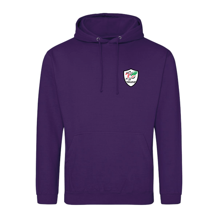 North Wales Dragons - Branded hoody with full colour badge