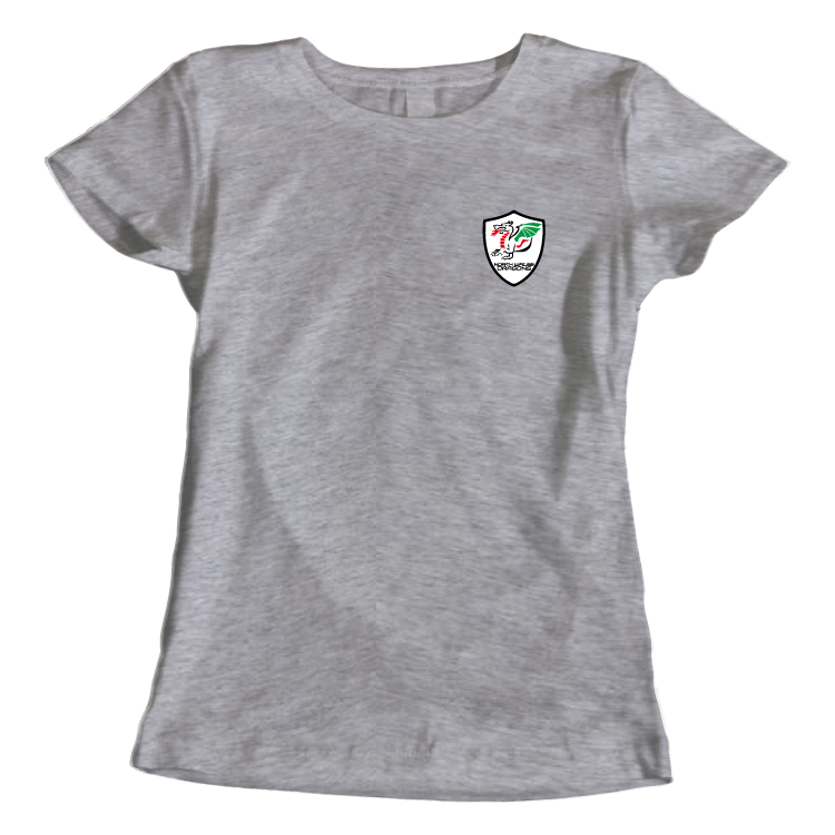 North Wales Dragons colour badge Women's t-shirt