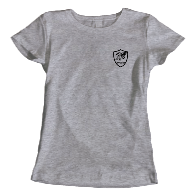 North Wales Dragons colour badge Women's t-shirt