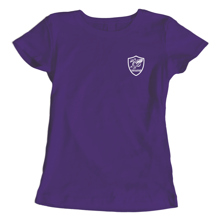 North Wales Dragons colour badge Women's t-shirt