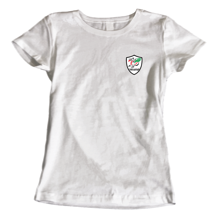 North Wales Dragons colour badge Women's t-shirt