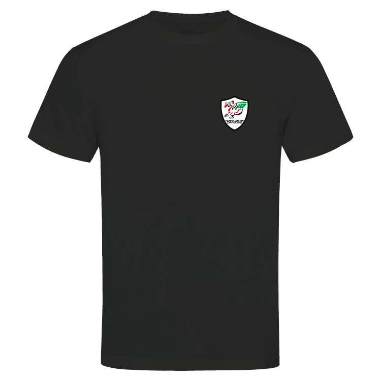 North Wales Dragons colour badge Unisex t-shirt