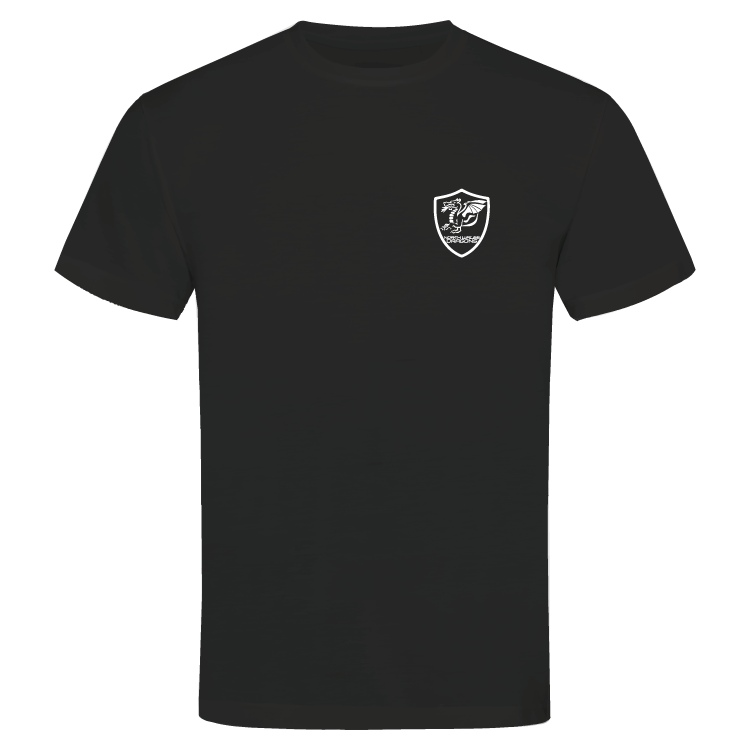North Wales Dragons colour badge Unisex t-shirt