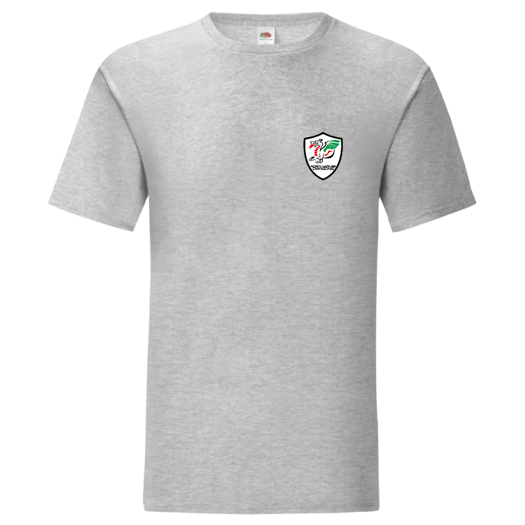 North Wales Dragons colour badge Unisex t-shirt
