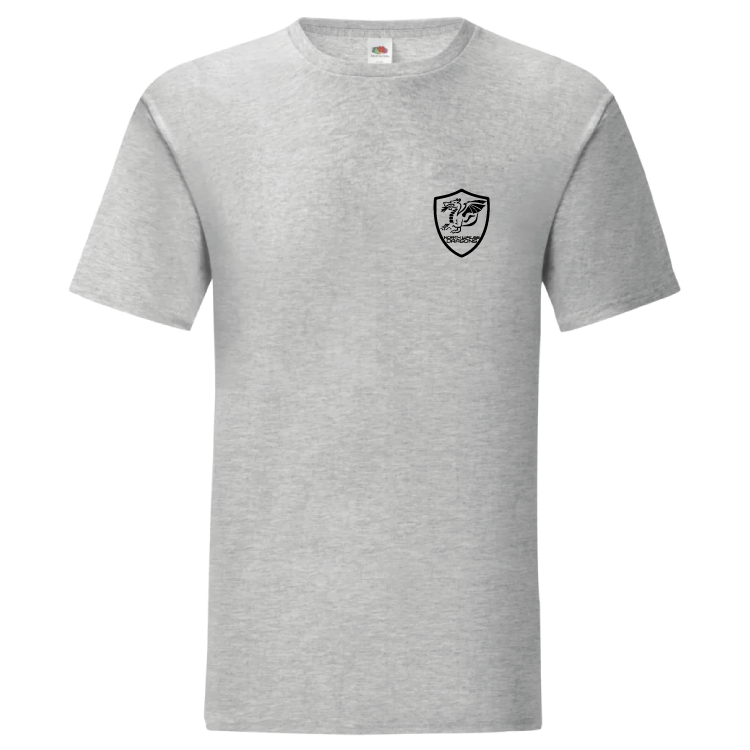 North Wales Dragons colour badge Unisex t-shirt