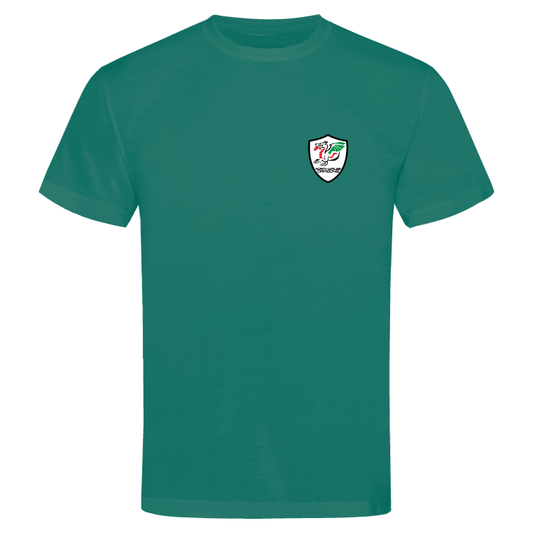 North Wales Dragons colour badge Unisex t-shirt