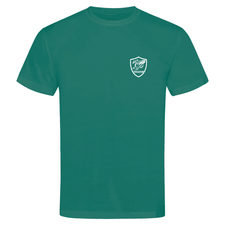 North Wales Dragons colour badge Unisex t-shirt