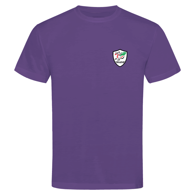 North Wales Dragons colour badge Unisex t-shirt