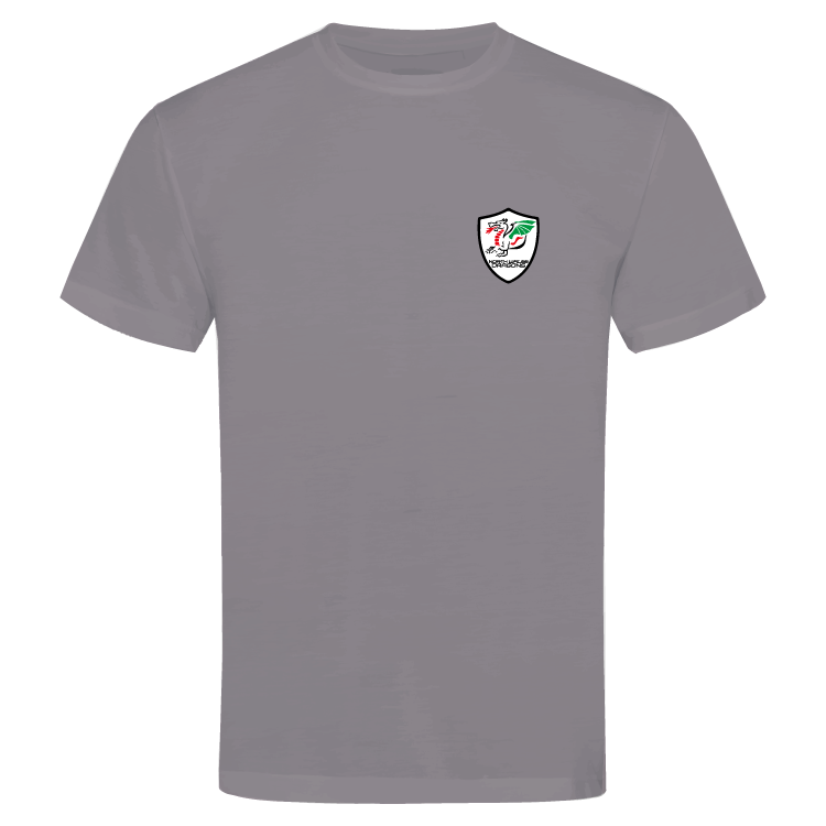 North Wales Dragons colour badge Unisex t-shirt