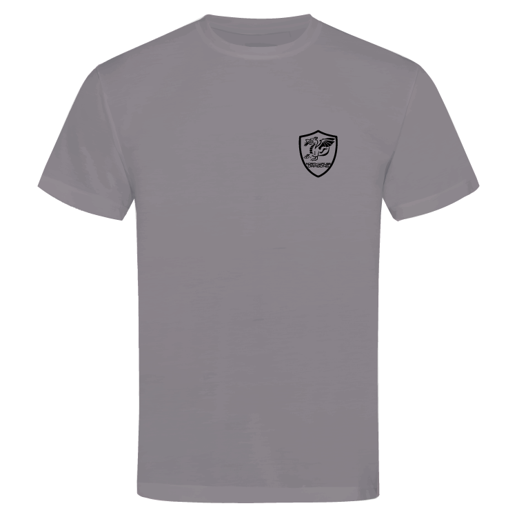 North Wales Dragons colour badge Unisex t-shirt