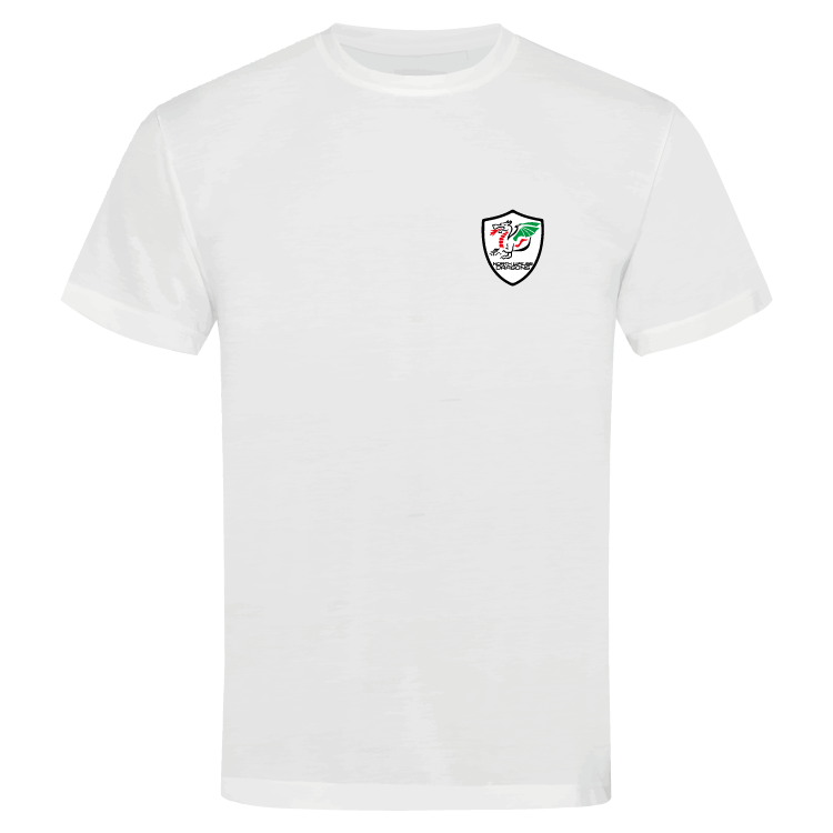 North Wales Dragons colour badge Unisex t-shirt