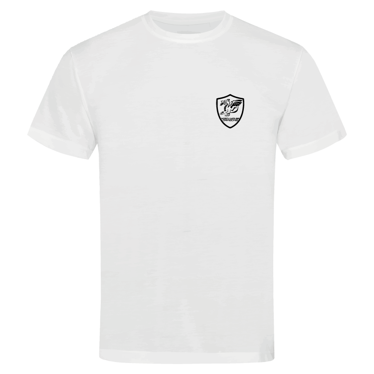 North Wales Dragons colour badge Unisex t-shirt